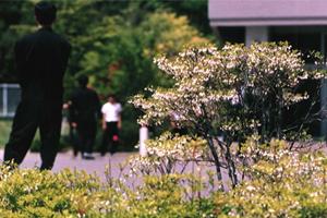 小・中・高校生対応の宮前区の個別指導塾